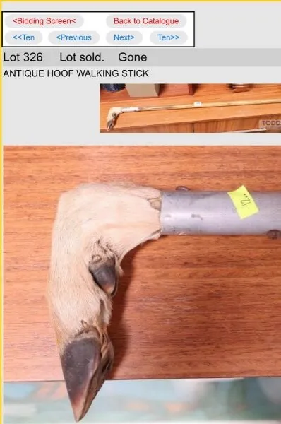 hoof stick